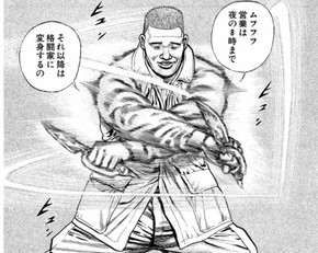 アイドル鉄拳伝タフ Fight8